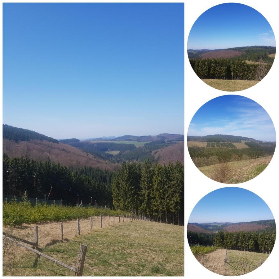 Ferienwohnung Parkblick Medebach Exteriér fotografie