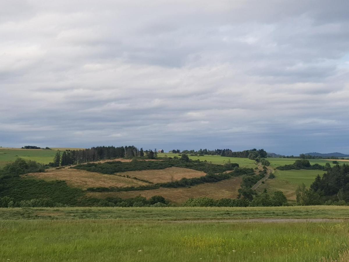 Ferienwohnung Parkblick Medebach Exteriér fotografie